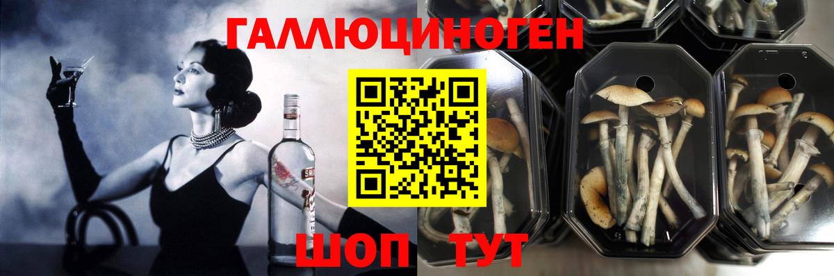 Галлюциногенные грибы мицелий Чайковский