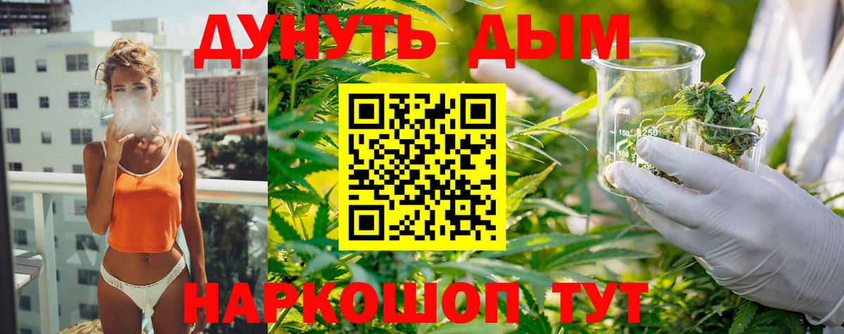 Чайковский  Каннабис сатива  Вход с VPN  Канабис THC 21% 